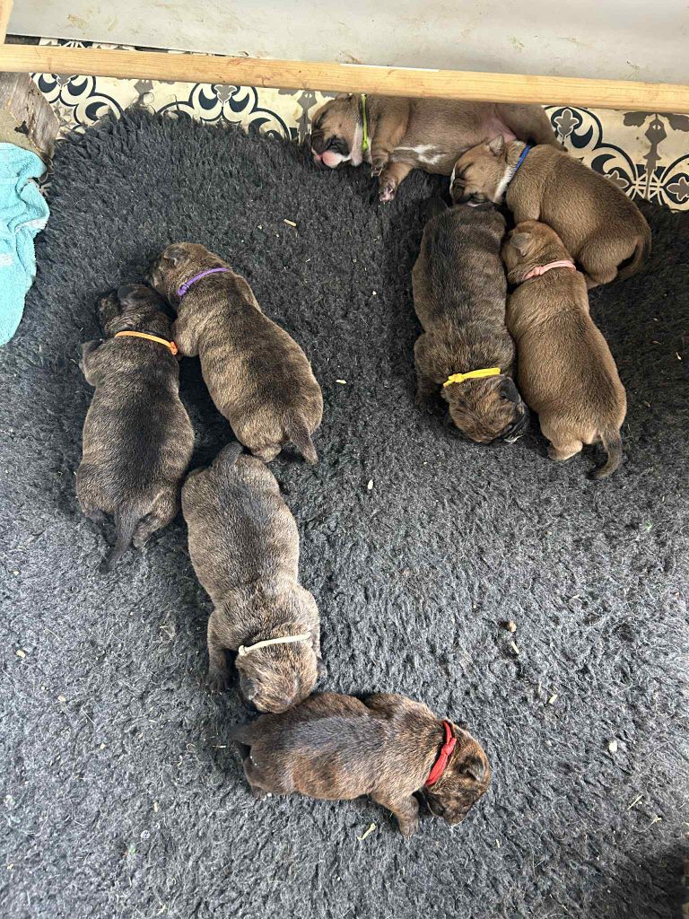 Les bébés sont là ! 